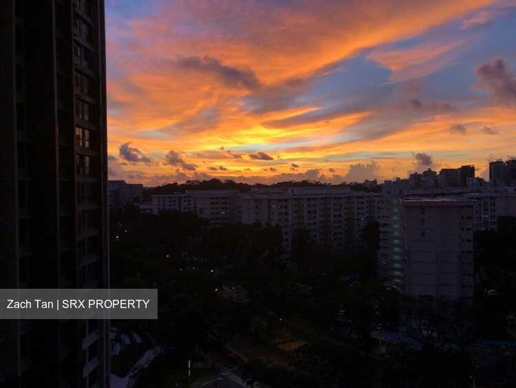 Blk 311A Trivelis (Clementi), HDB 4 Rooms #548564361
